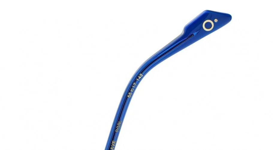 Etnia Barcelona KONGENS HAVE Eyeglasses - view 8